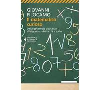 Il matematico curioso. Dalla geometria del calcio all'algoritmo dei tacchi a spillo