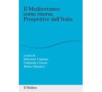 Il Mediterraneo come risorsa. Prospettive dall'Italia