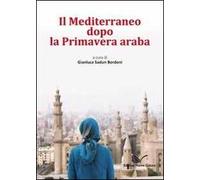 Il Mediterraneo dopo la Primavera araba