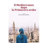 Il Mediterraneo dopo la Primavera araba