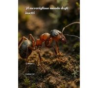 Il meraviglioso mondo degli insetti: Volume 5