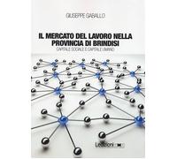 Il mercato del lavoro nella provincia di Brindisi. Capitale sociale e capi...
