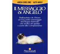 Il messaggio di Angelo