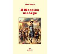 Il Messico insorge