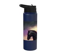 Il minaccioso cavaliere nella notte Stainless Steel Insulated Water Bottle