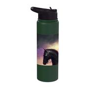 Il minaccioso cavaliere nella notte Stainless Steel Insulated Water Bottle