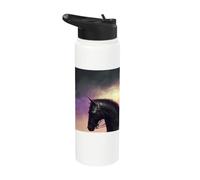 Il minaccioso cavaliere nella notte Stainless Steel Insulated Water Bottle