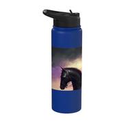 Il minaccioso cavaliere nella notte Stainless Steel Insulated Water Bottle