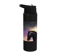 Il minaccioso cavaliere nella notte Stainless Steel Insulated Water Bottle