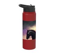 Il minaccioso cavaliere nella notte Stainless Steel Insulated Water Bottle