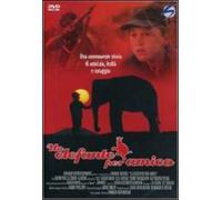 Il mio amico elefante