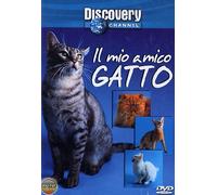 Il Mio Amico Gatto