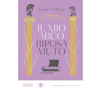 Il mio arco riposa muto: Il romanzo dell'Eneide