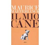 Il mio cane
