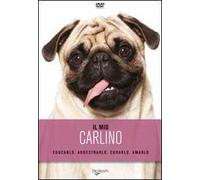 Il mio carlino. DVD