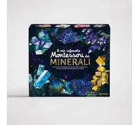 Il mio cofanetto Montessori dei minerali. Ediz. a colori. Con gadget