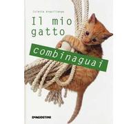 Il mio gatto combinaguai