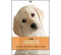 Il mio labrador. DVD
