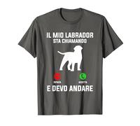 Il Mio Labrador Sta Chiamando E Devo Andare Maglietta, Uomo, Asfalto, L