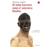 Il mio lavoro non è ancora finito