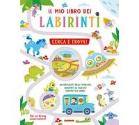Il mio libro dei labirinti. Cerca e trova! Ediz. a colori