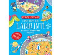 Il mio libro dei labirinti. Sei un bravo osservatore? Dimostralo! Cerca e trova!