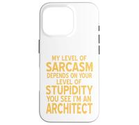 Il mio livello di sarcasmo dipende retrò divertente architetto presente Custodia per iPhone 16 Pro