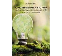 Il mio pensiero per il futuro. Autofinanziare la produzione di energia verde. Un progetto a basso costo