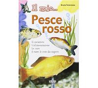 Il mio... pesce rosso