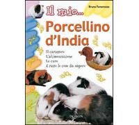 Il mio... porcellino d'India