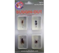 Il Mio Primo Laboratorio, Buggin-Out Micro Divertente Bug Set C&a 00111