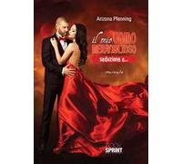 Il mio uomo meraviglioso