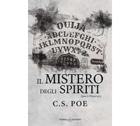 Il mistero degli spiriti. Snow & Winter. Vol. 5