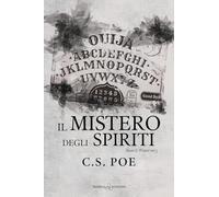 Il mistero degli spiriti. Snow & Winter (Vol. 5)