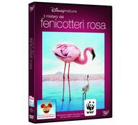 Il mistero dei fenicotteri rosa