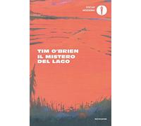 Il mistero del lago
