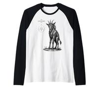 Il Mito Ibrido di Leonard Maglia con Maniche Raglan