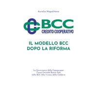 Il modello BCC dopo la Riforma di Aurelio Napolitano, 2020, Youcanprint