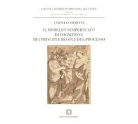 Il modello semplificato di cognizione tra principi e regole del processo