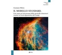 Il modello standard. Uno zoom nel microcosmo delle particelle elementari tramite la teoria quantistica dei campi