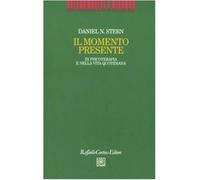 Il momento presente. In psicoterapia e nella vita quotidiana - Stern Daniel N.