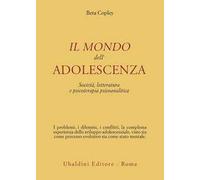 Il mondo dell'adolescenza. Società, letteratura e psicoterapia psicoanalitica