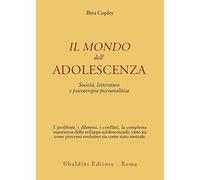 Il mondo dell'adolescenza. Società, letteratura e psicoterapia psicoanalitica