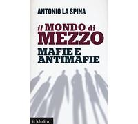 Il mondo di mezzo. Mafie e antimafie