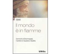Il mondo è in fiamme. Commenti al Dhammapada, il sentiero di Gautama il Buddha. Vol. 5