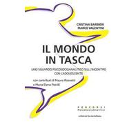 Il mondo in tasca. Uno sguardo psicosocioanalitico sull'incontro con l'adolescente