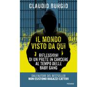Il mondo visto da qui. Riflessioni di un prete in carcere al tempo delle b...
