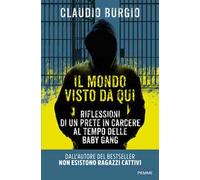 Il mondo visto da qui. Riflessioni di un prete in carcere al tempo delle baby gang
