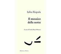 Il mosaico della notte