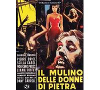 Il Mulino Delle Donne Di Pietra (DVD) Brice Gabel Preiss Carrel Bohme